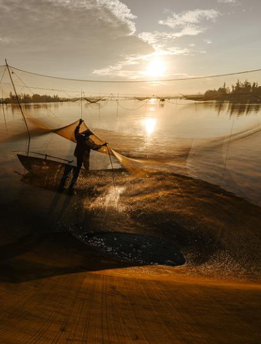 开云(中国)Kaiyun·官方网站 - 登录入口