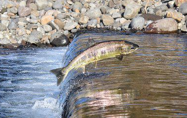 开云(中国)Kaiyun·官方网站 - 登录入口