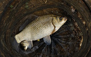 开云(中国)Kaiyun·官方网站 - 登录入口