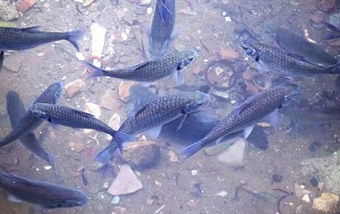 开云(中国)Kaiyun·官方网站 - 登录入口