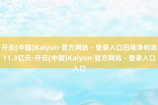 开云(中国)Kaiyun·官方网站 - 登录入口归母净利润11.3亿元-开云(中国)Kaiyun·官方网站 - 登录入口