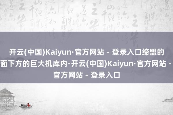 开云(中国)Kaiyun·官方网站 - 登录入口缔盟的理据在船面下方的巨大机库内-开云(中国)Kaiyun·官方网站 - 登录入口